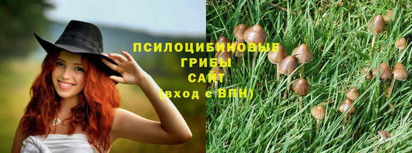 таблы Богданович
