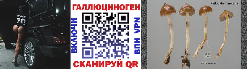 Псилоцибиновые грибы ЛСД  Сретенск 
